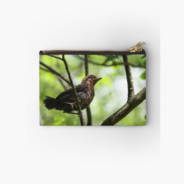 Item preview, Fledgling designed and sold by GreyFeatherPhot.