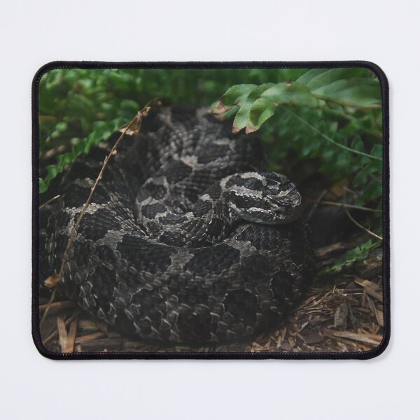 Item preview, Among The Greenery designed and sold by Kim Pruim.