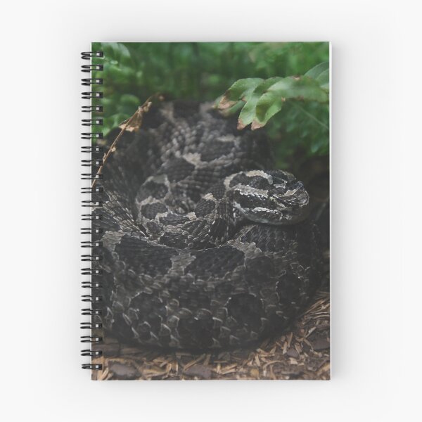 Item preview, Among The Greenery designed and sold by Kim Pruim.