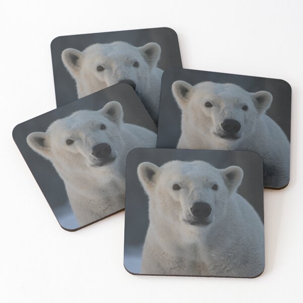Item preview, Polar Portrait designed and sold by Kim Pruim.