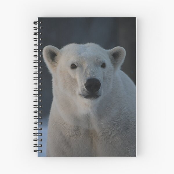 Item preview, Polar Portrait designed and sold by Kim Pruim.