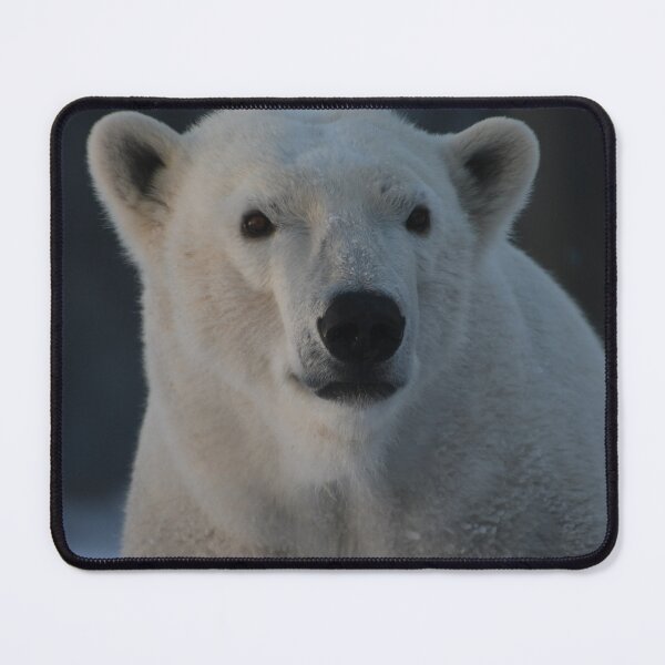 Item preview, Polar Portrait designed and sold by Kim Pruim.