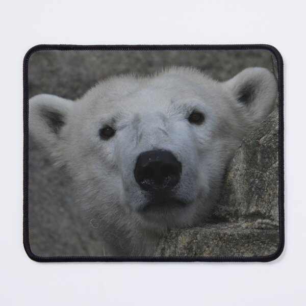 Item preview, Peek-A-Boo designed and sold by Kim Pruim.
