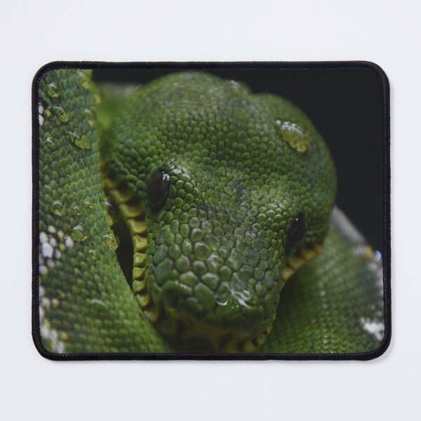 Item preview, Green With Droplets designed and sold by Kim Pruim.