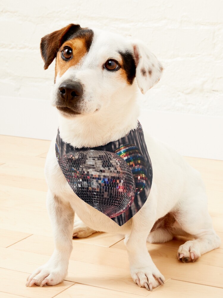 Neon Scribbles Over the Collar Dog Bandana 1980s Dog Bandana 