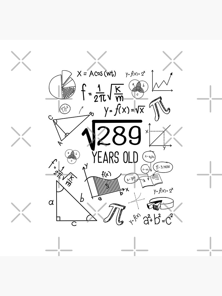 square-root-of-289-years-old-17th-birthday-17-year-old-gifts-math