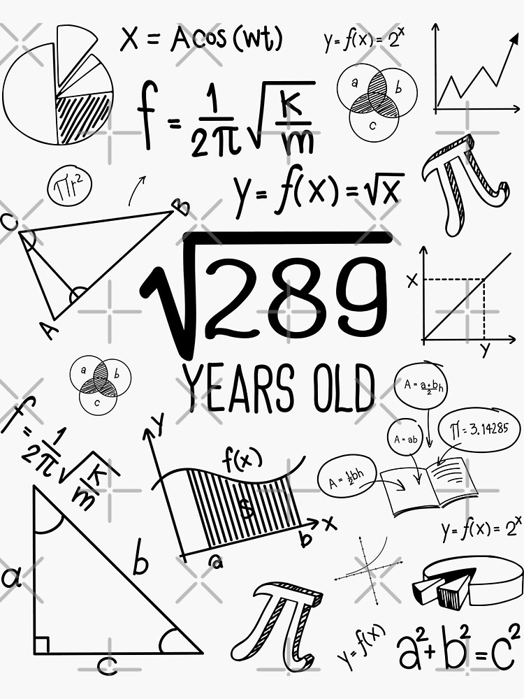 square-root-of-289-years-old-17th-birthday-17-year-old-gifts-math