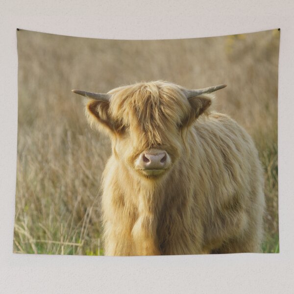 Item preview, Highland Cow designed and sold by rawshutterbug.
