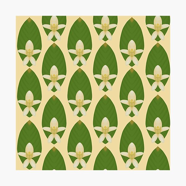 Item preview, Abstract Lemon Flower & Leaf Pattern designed and sold by Old Urban Farmhouse Design Studio.