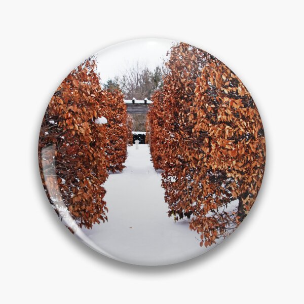 Item preview, European Beech Hedges designed and sold by Debbie Oppermann.