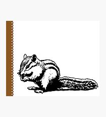 Chipmunk - Critter Love Collection 4 of 6 Photographic Print
