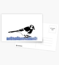 Blue Jay - Critter Love Collection 2 of 6 Postcards