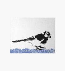 Blue Jay - Critter Love Collection 2 of 6 Art Board