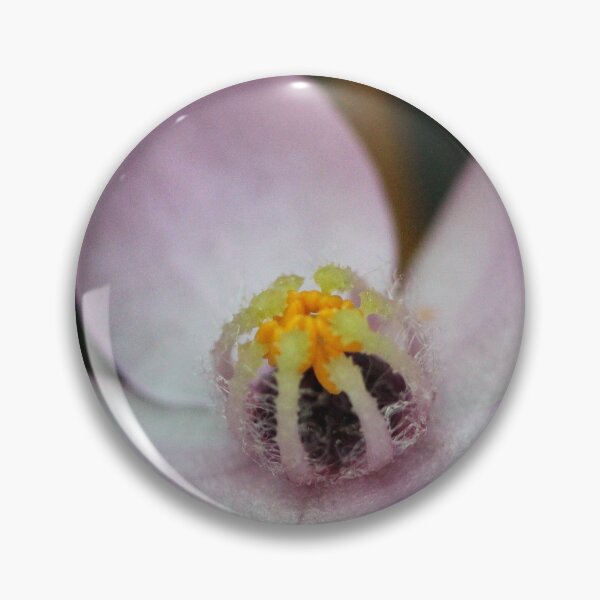 Item preview, Boronia safrolifera designed and sold by andrachne.