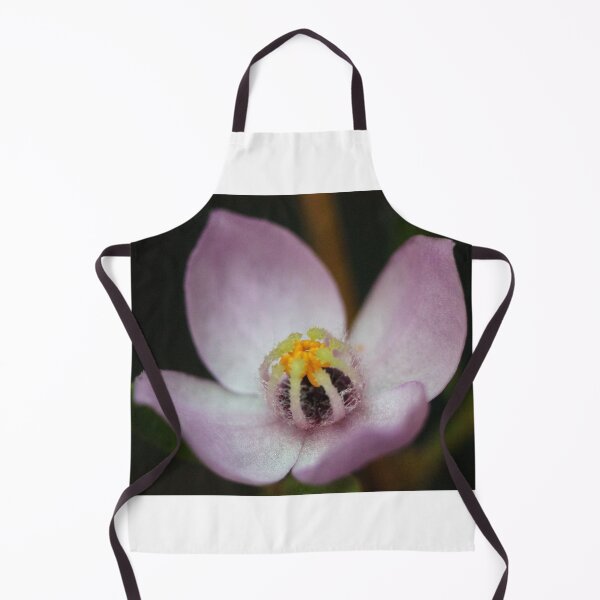 Item preview, Boronia safrolifera designed and sold by andrachne.