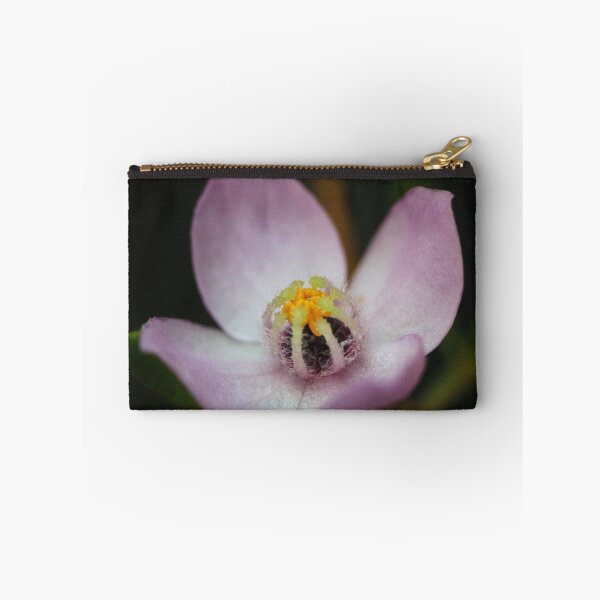 Item preview, Boronia safrolifera designed and sold by andrachne.