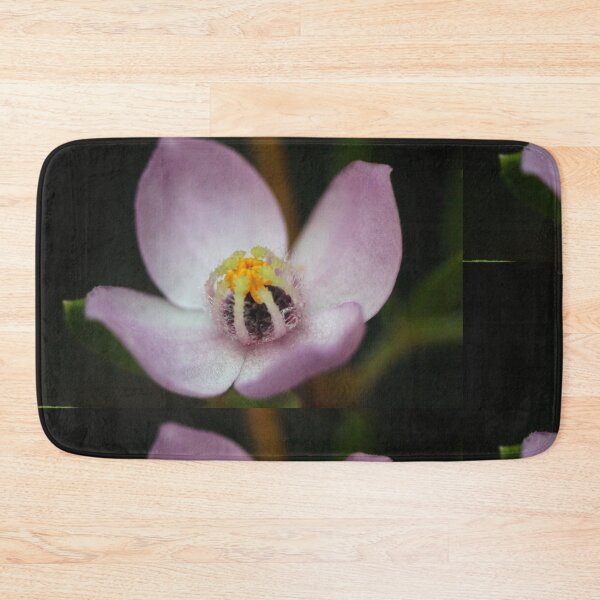 Item preview, Boronia safrolifera designed and sold by andrachne.