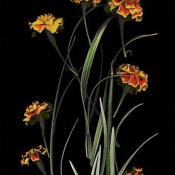 Artwork thumbnail, Marigold Carousel Dark Floral by LindasPhotoArt