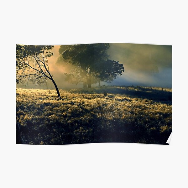 Sunrise Near Mount Field National Park Poster