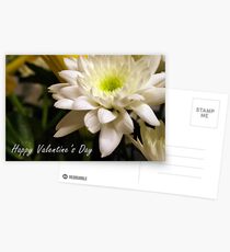 Valentine's Card Postcards