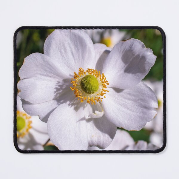 Item preview, Perfect Japanese Windflower designed and sold by PhotosByFelix.