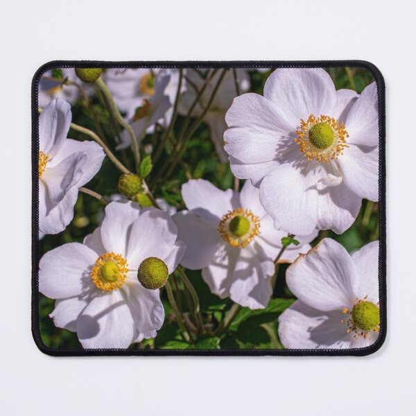 Item preview, Japanese Windflowers designed and sold by PhotosByFelix.