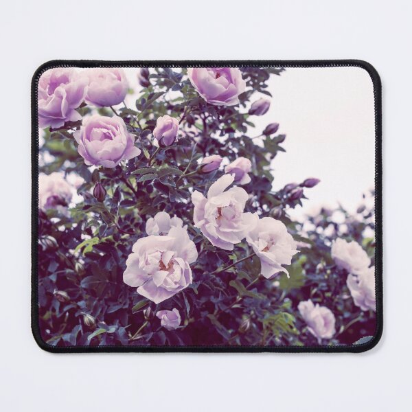 Item preview, White Roses Romantic Photography designed and sold by Amalus-files.