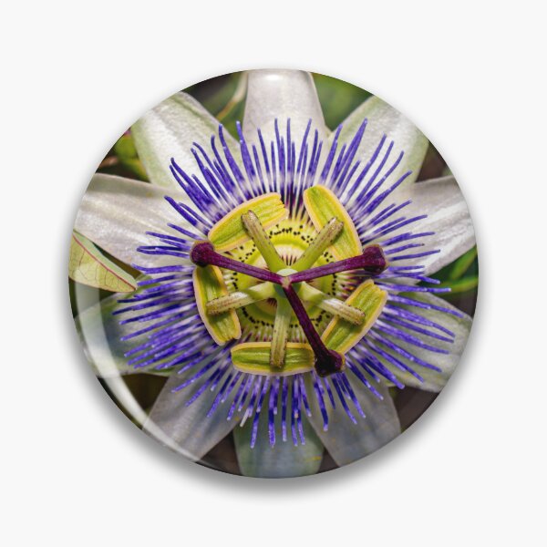 Item preview, Perfect Passionfruit Flower designed and sold by PhotosByFelix.