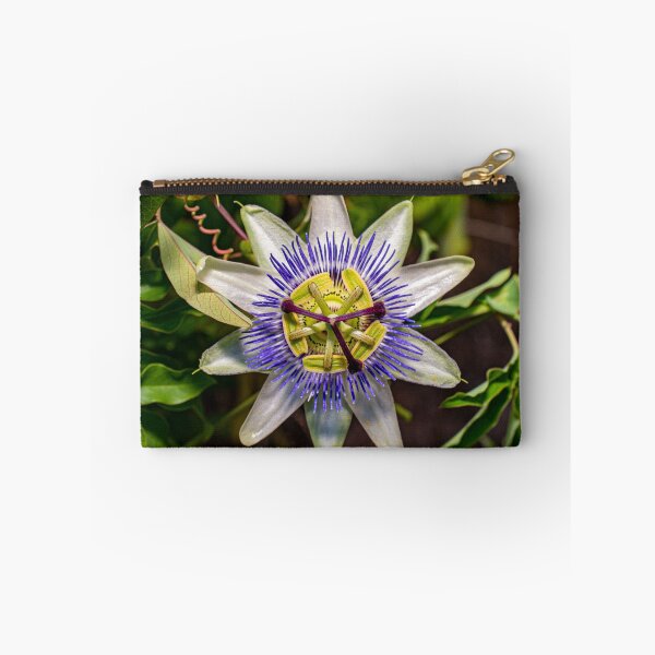 Item preview, Perfect Passionfruit Flower designed and sold by PhotosByFelix.