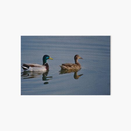 Ducks In a Row Art Board Print