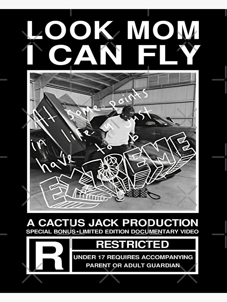 look mom i can fly poster