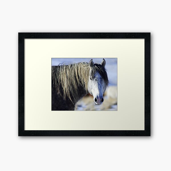 Wild Beauty Framed Art Print