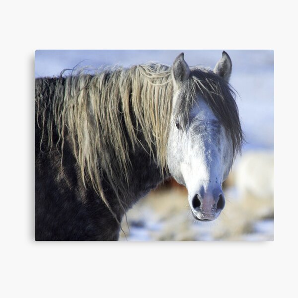 Wild Beauty Metal Print