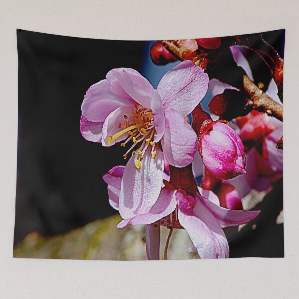 Item preview, Cherry Blossom designed and sold by Andy Horgan.
