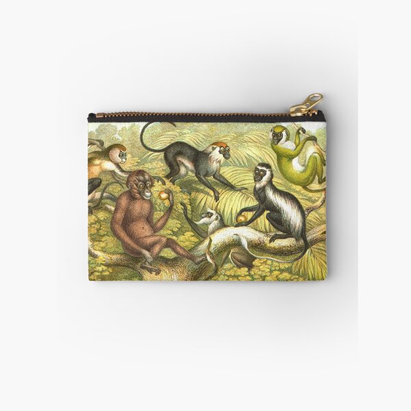 Item preview, Primate types Circa 1874 designed and sold by artfromthepast.
