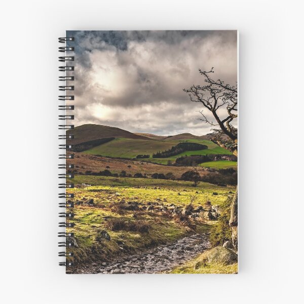 Item preview, Lone Tree, College Valley - Northumberland designed and sold by Reg-K-Atkinson.