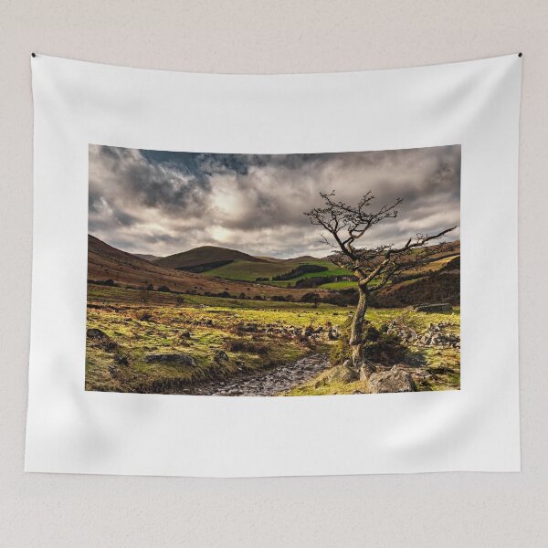 Item preview, Lone Tree, College Valley - Northumberland designed and sold by Reg-K-Atkinson.