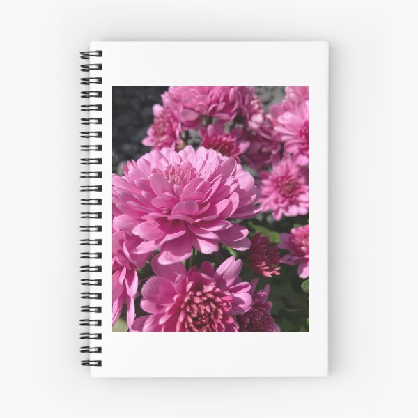 Item preview, Photo of pink chrysanthemum  designed and sold by Shyenne  Moran.
