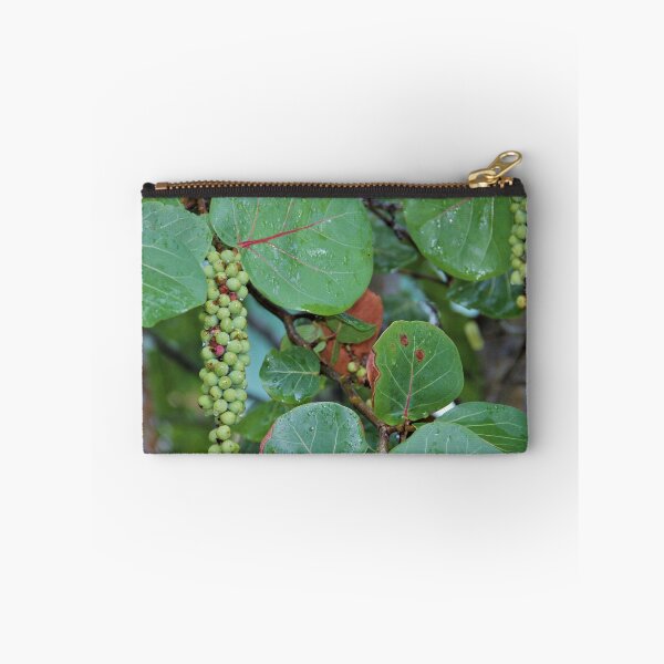 Item preview, Sea Grapes designed and sold by genalatorre.