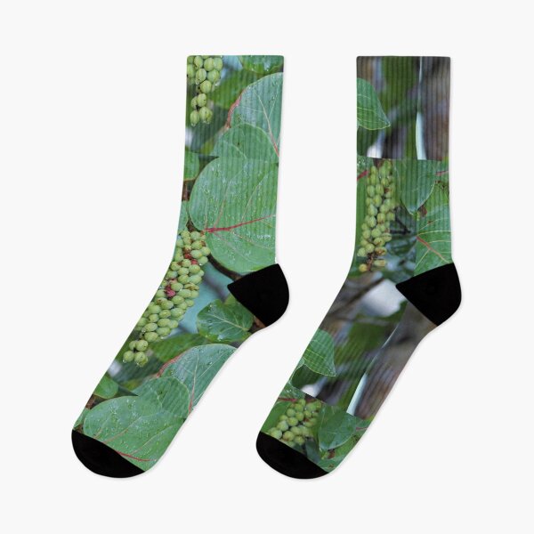 Item preview, Sea Grapes designed and sold by genalatorre.