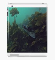 Stalking Rock Fish iPad Case/Skin