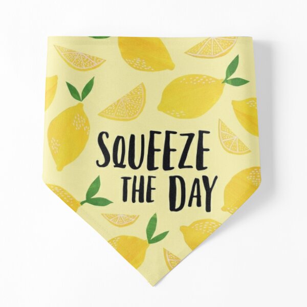 Squeeze the Day Pet Bandana