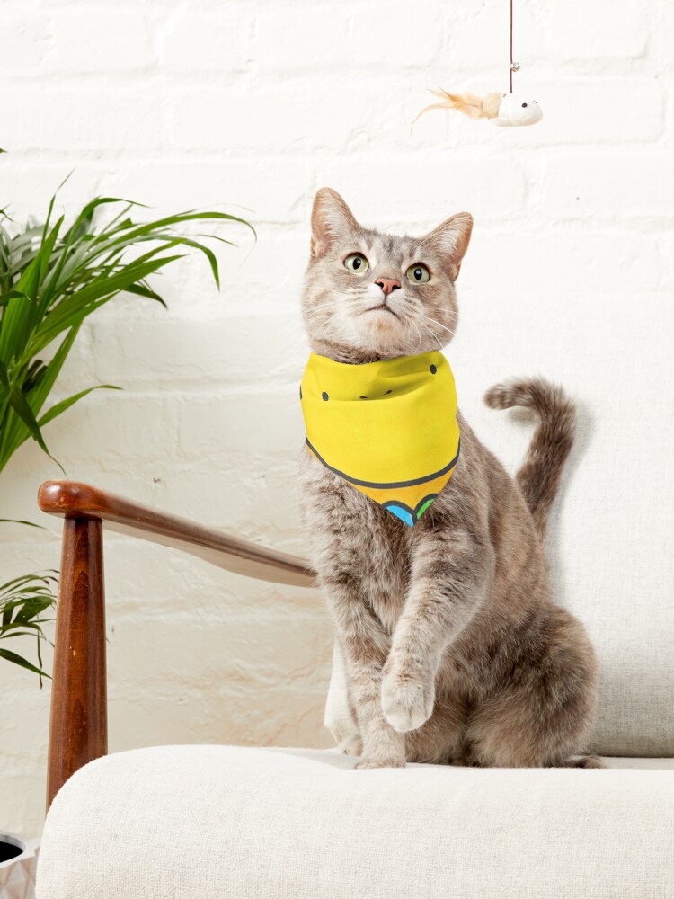 Alternate view of Radiate Positivity Pet Bandana