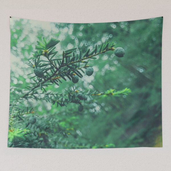 Item preview, Evergreen designed and sold by 9Amaryllis6.