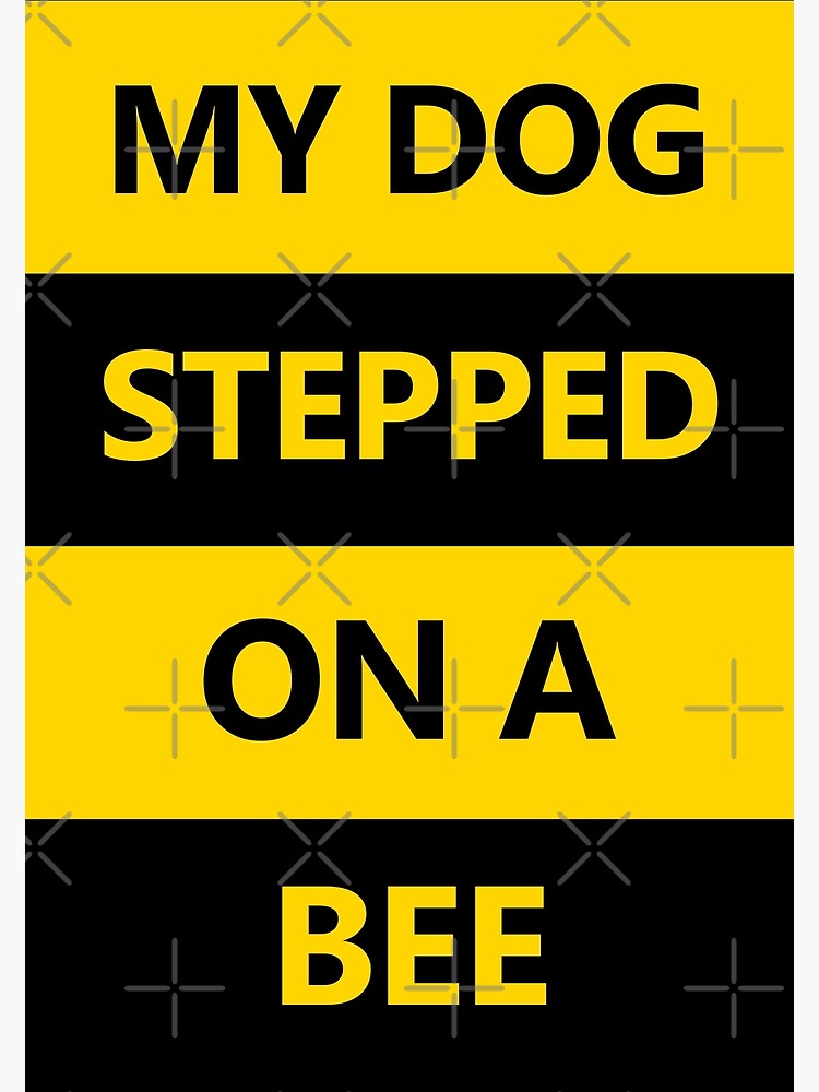 My dog stepped on a bee with face - Tiktok sound meme - Justice