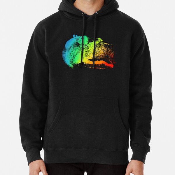 THE NORTH FACE HYBRID HIPPO HOODIE-