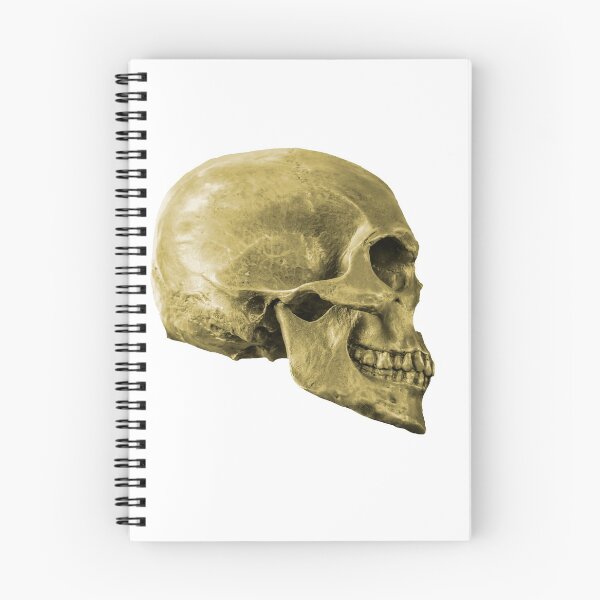 Item preview, Human Skull designed and sold by Dalyndigital Photography.