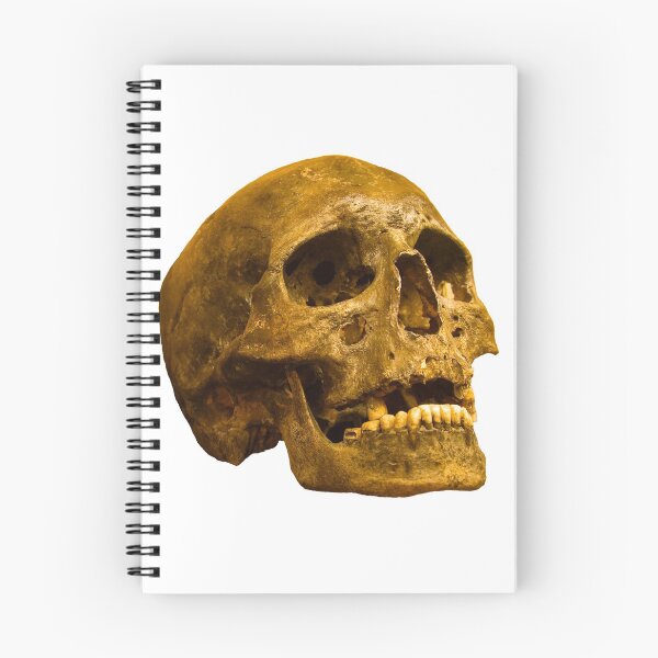 Item preview, Human Skull designed and sold by Dalyndigital Photography.
