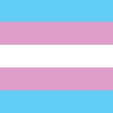 Artwork thumbnail, Trans Pride Flag by Gayesthetic