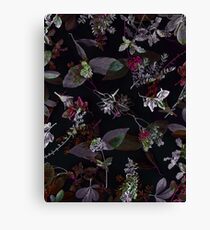 Precious Nature 3 Canvas Print